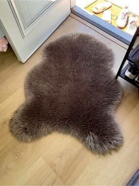 Pottery Barn Luxury Fur Decorative Mat Brown